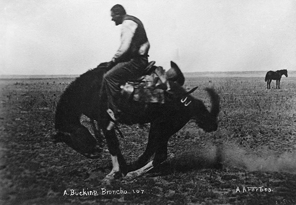 bronc riding